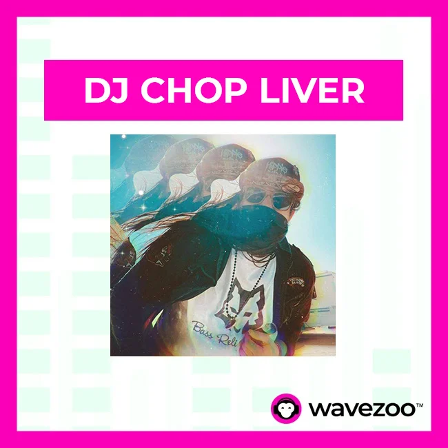 dj_CHOP_LIVER_wavezoo